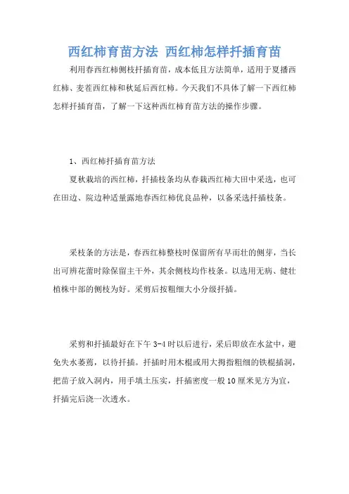 西红柿育苗方法 西红柿怎样扦插育苗
