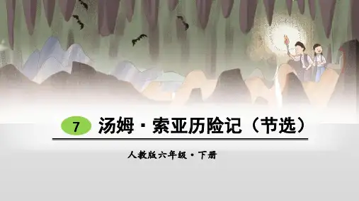 汤姆索亚历险记节选
