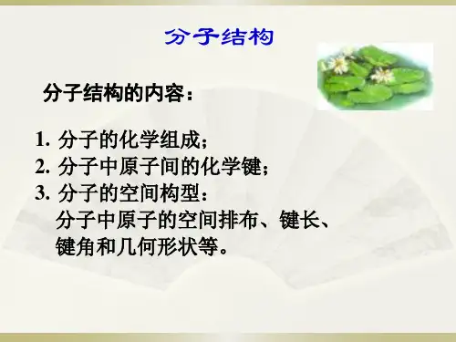 分子结构课件