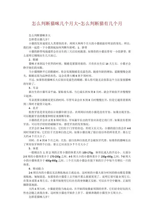 怎么判断猫咪几个月大-怎么判断猫有几个月