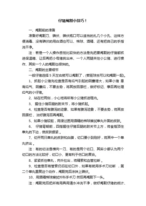 仔猪阉割小技巧！