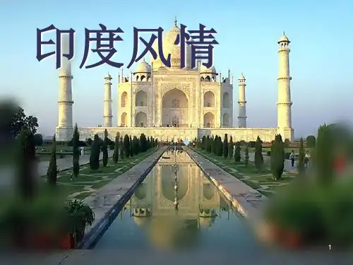 印度文化PPT课件