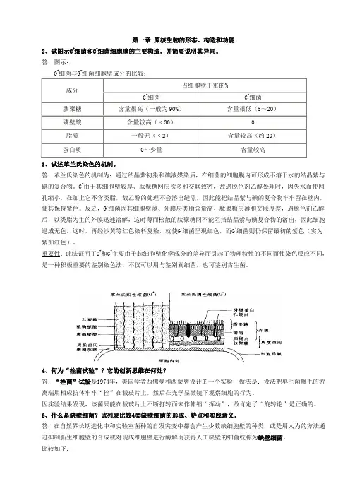 微生物复习
