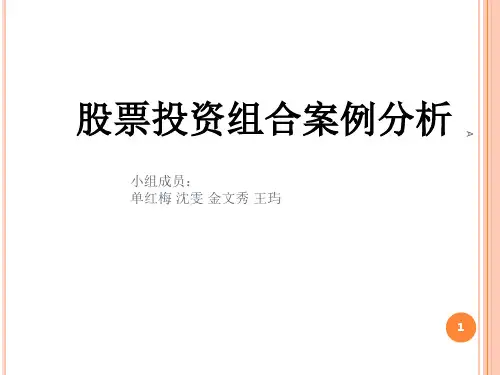 股票投资组合案例分析