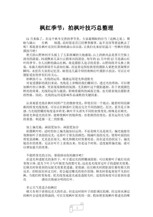 2023年枫红季节：拍枫叶技巧总整理