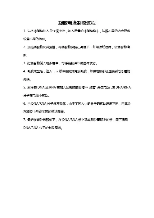 凝胶电泳制胶过程