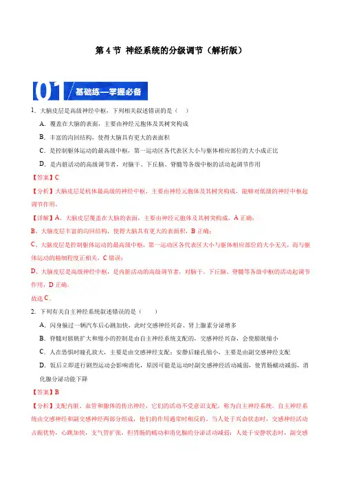 2.4 神经系统的分级调节-2024-2025学年高二生物同步课堂(人教版2019选择性必修1)