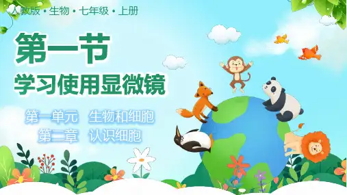 学习使用显微镜ppt课件