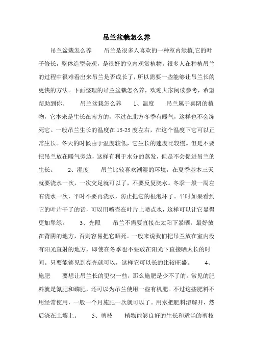 吊兰盆栽怎么养