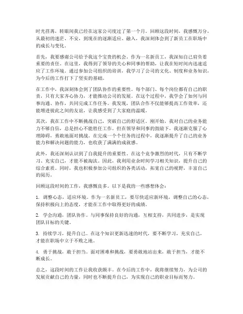 新员工工作日报感想体会