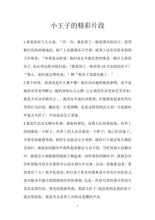 小王子 的精彩片段
