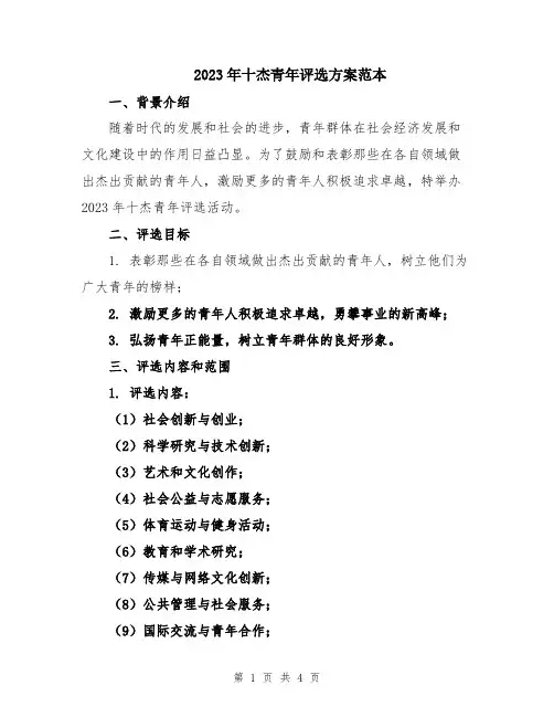 2023年十杰青年评选方案范本