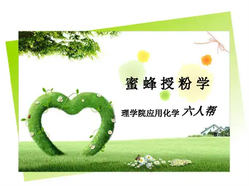 蜜蜂授粉PPT