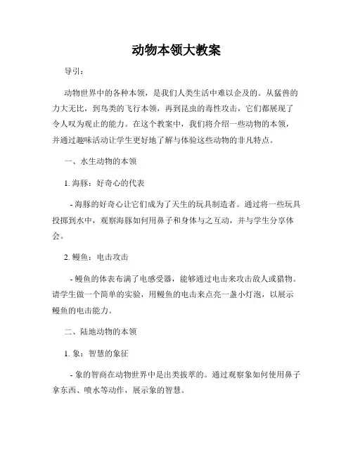 动物本领大教案