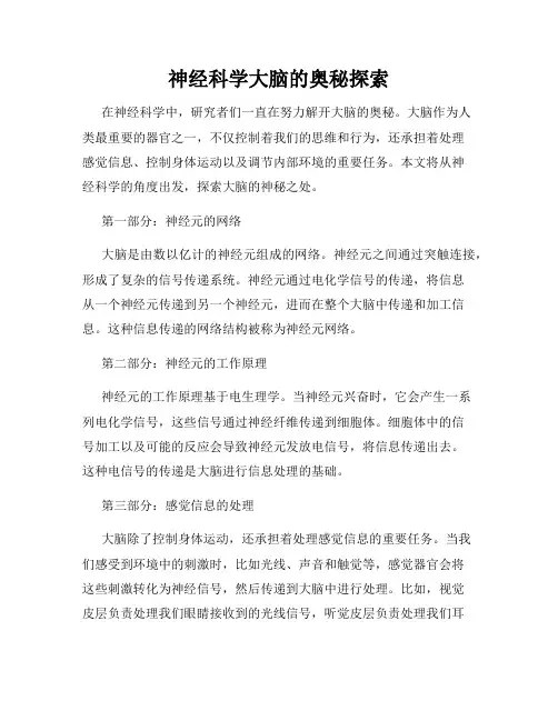 神经科学大脑的奥秘探索
