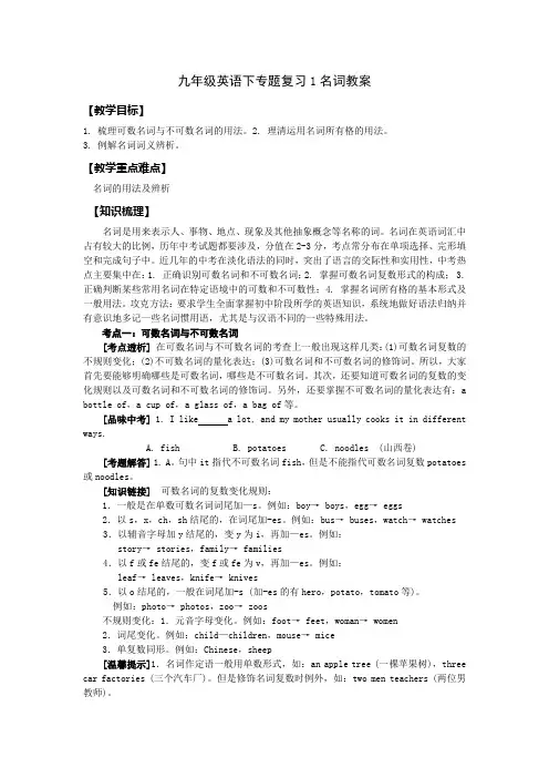 人教版中考英语专题复习教案1：名词
