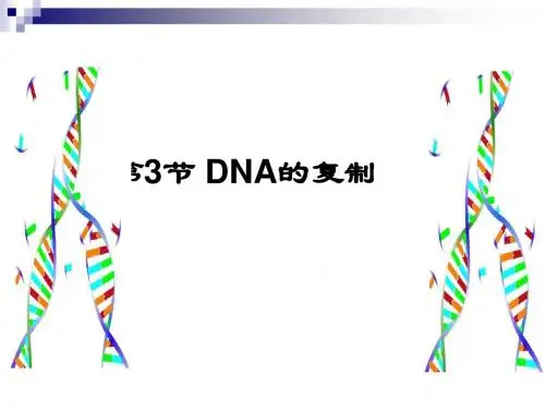 人教版必修二  DNA的复制 课件(22张)