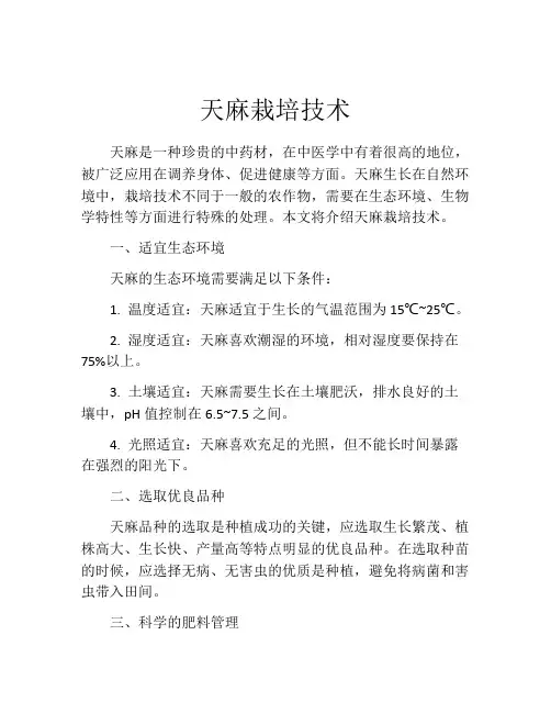 天麻栽培技术