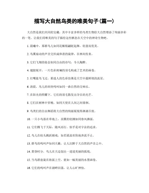 描写大自然鸟类的唯美句子(精选两篇)