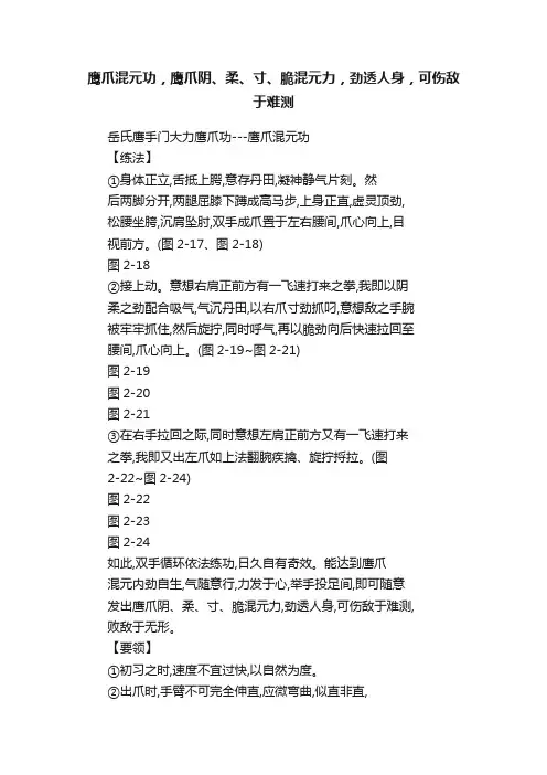 鹰爪混元功，鹰爪阴、柔、寸、脆混元力，劲透人身，可伤敌于难测