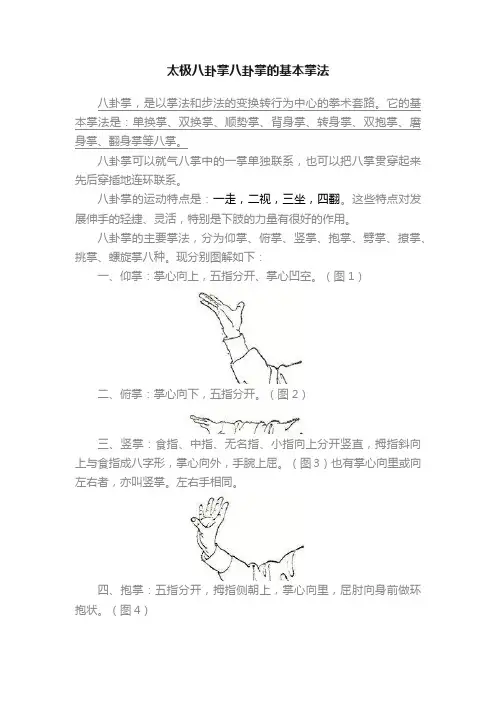 太极八卦掌八卦掌的基本掌法