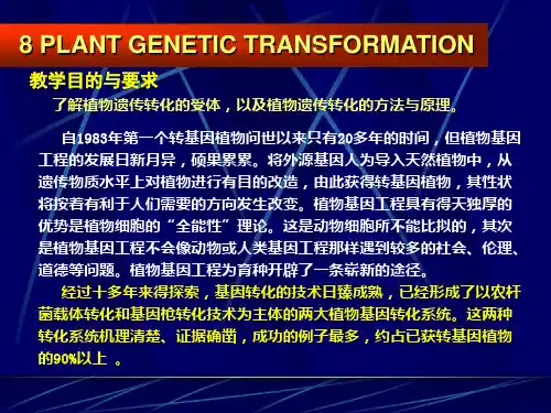 植物遗传转化体系的建立