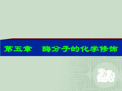 05-酶的化学修饰