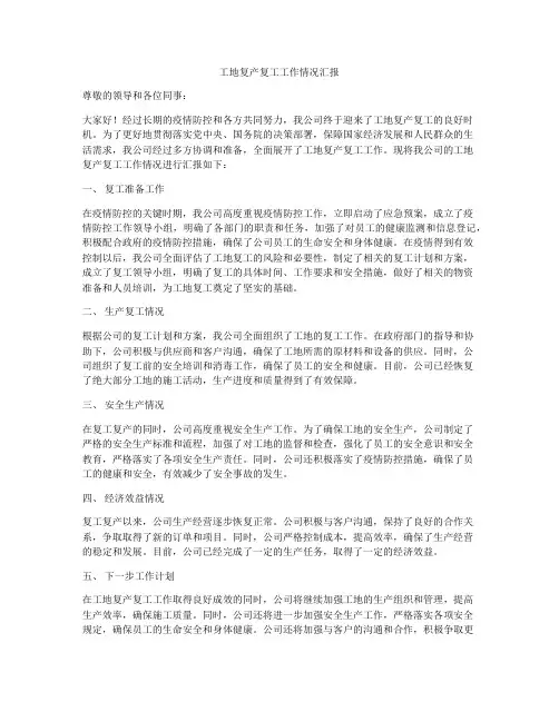 工地复产复工工作情况汇报