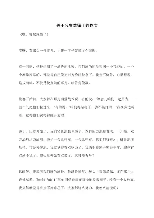 关于我突然懂了的作文