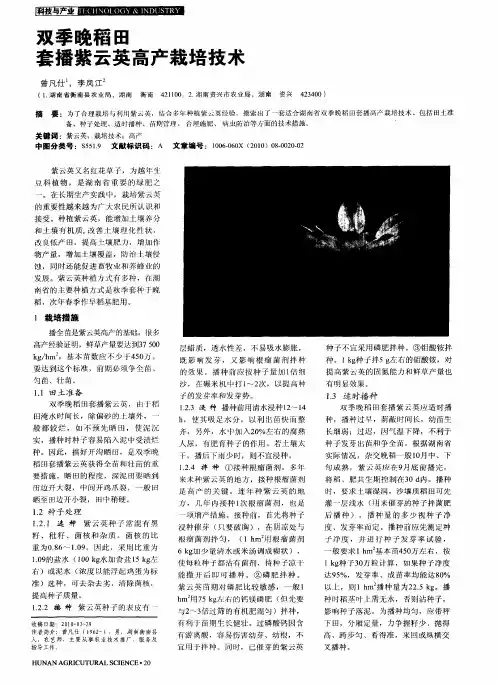 双季晚稻田套播紫云英高产栽培技术