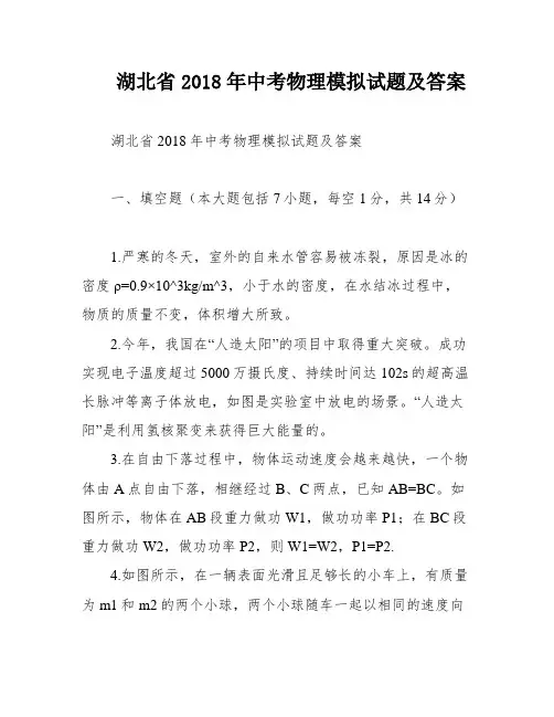 湖北省2018年中考物理模拟试题及答案