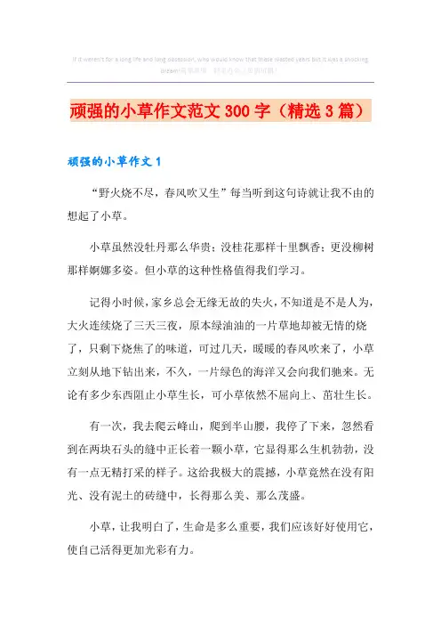 顽强的小草作文范文300字(精选3篇)