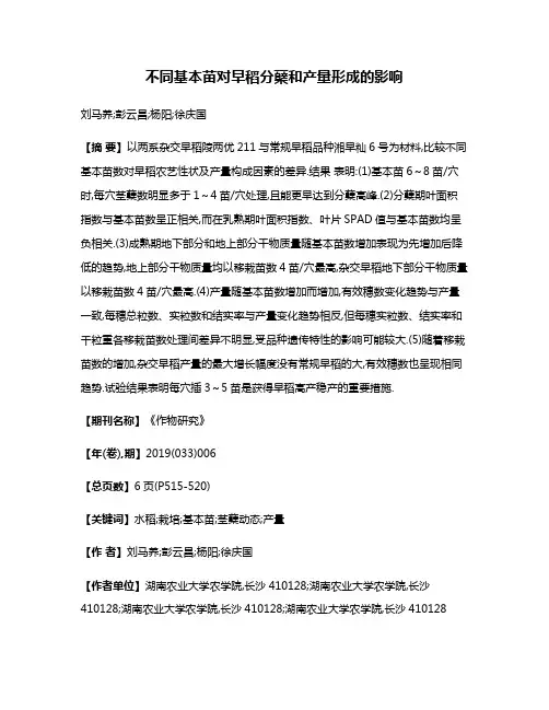不同基本苗对早稻分蘖和产量形成的影响