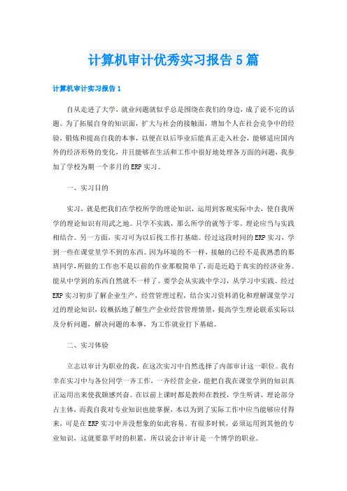 计算机审计优秀实习报告5篇