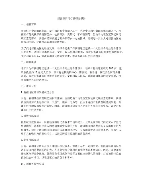 新疆项目可行性研究报告
