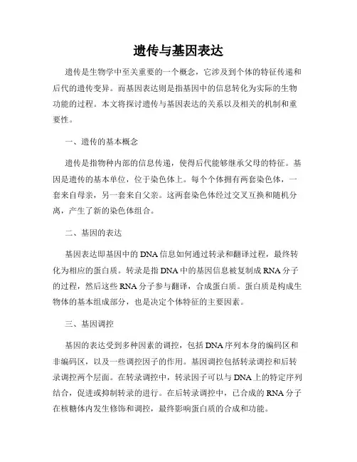 遗传与基因表达