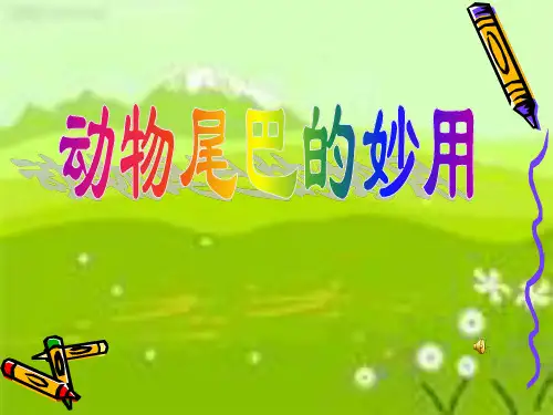 《动物尾巴的作用》幼儿园PPT课件
