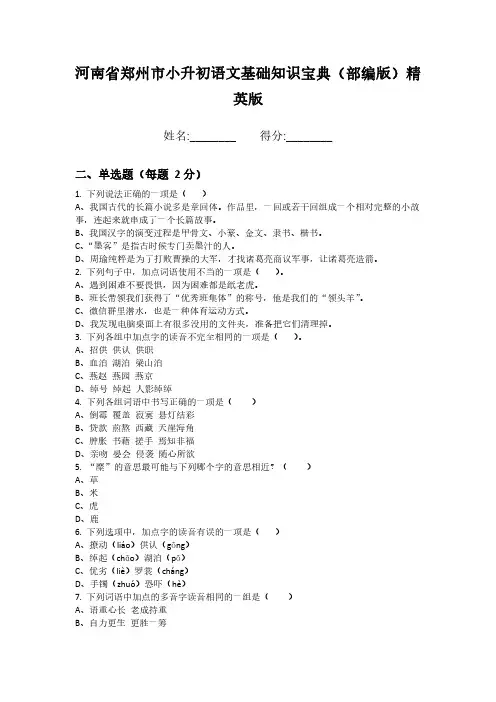 河南省郑州市小升初语文基础知识宝典(部编版)精英版