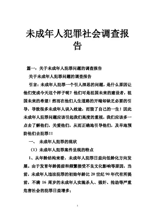 未成年人犯罪社会调查报告