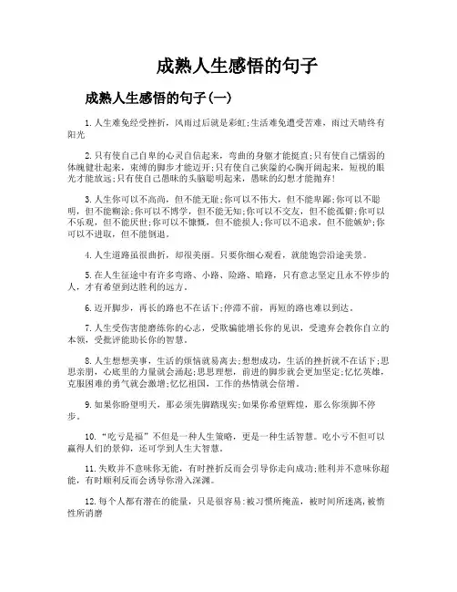 成熟人生感悟的句子