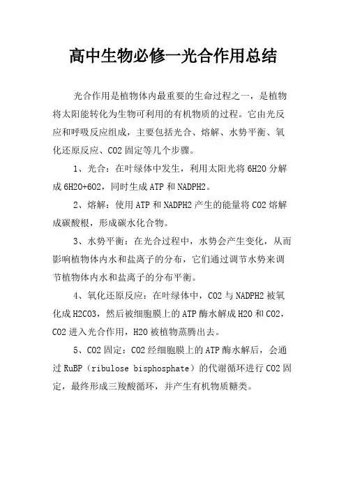 高中生物必修一光合作用总结