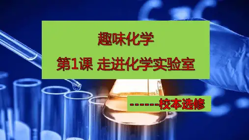 人教版高中第1课走进化学实验室19ppt