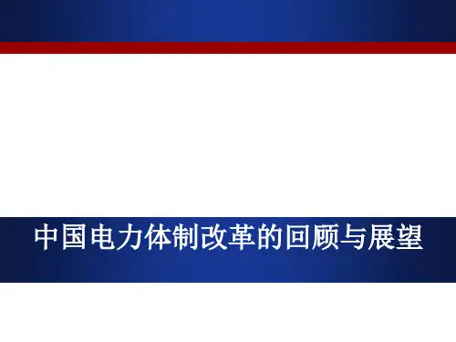 中国电力体制改革的回顾与展望(ppt 48张)