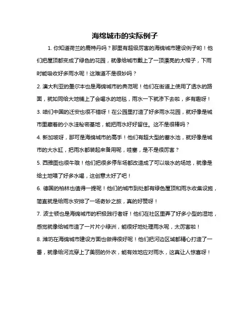 海绵城市的实际例子