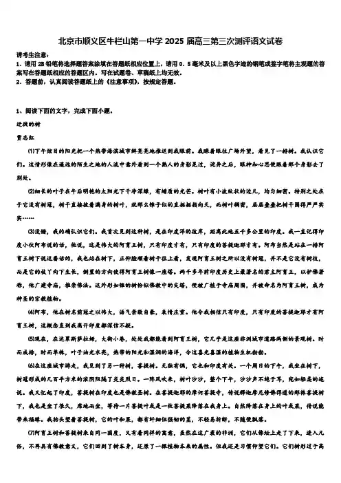 北京市顺义区牛栏山第一中学2025届高三第三次测评语文试卷含解析