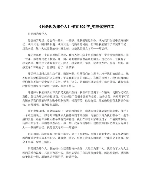 《只是因为那个人》作文800字_初三优秀作文