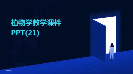2024年度植物学教学课件PPT(21)