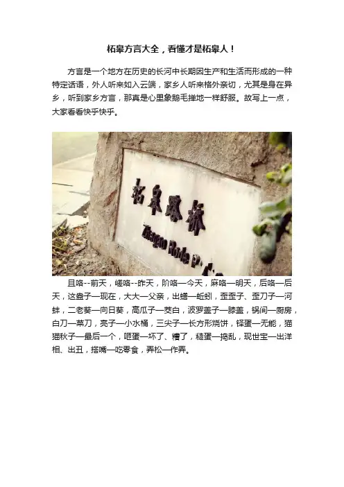 柘皋方言大全，看懂才是柘皋人！