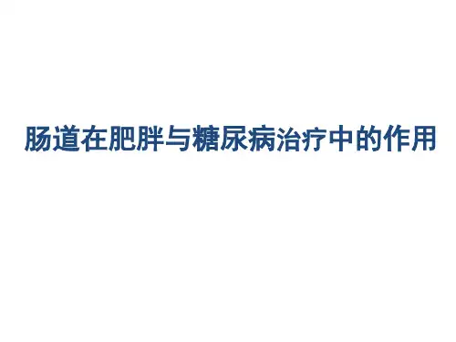 肠道在肥胖与糖尿病治疗中的作用