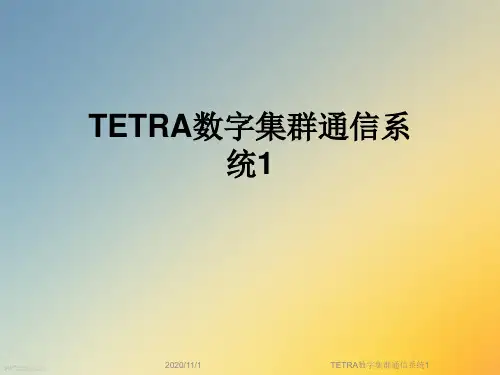 TETRA数字集群通信系统1